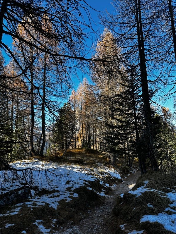 Paesaggio boschivo di montagna — simile alle ambientazioni tolkieniane